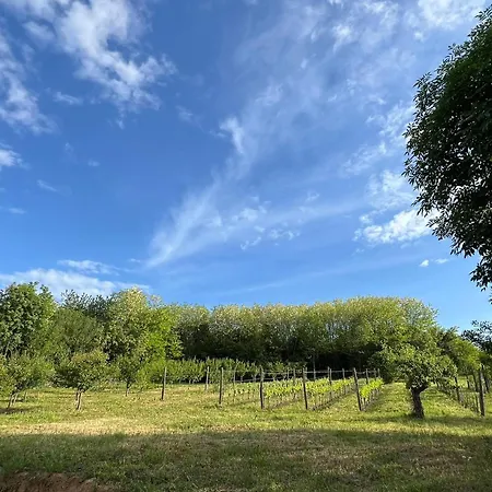 Sa Bazenom Vrnjacka Idila Apartamento Vrnjačka Banja