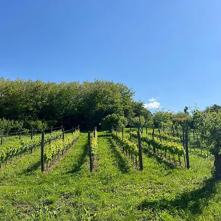 Apartamento Sa Bazenom Vrnjacka Idila *